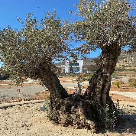 Clepsydra Holiday home *