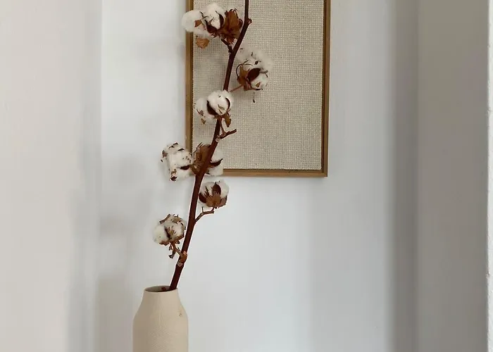 בית נופש Clepsydra *