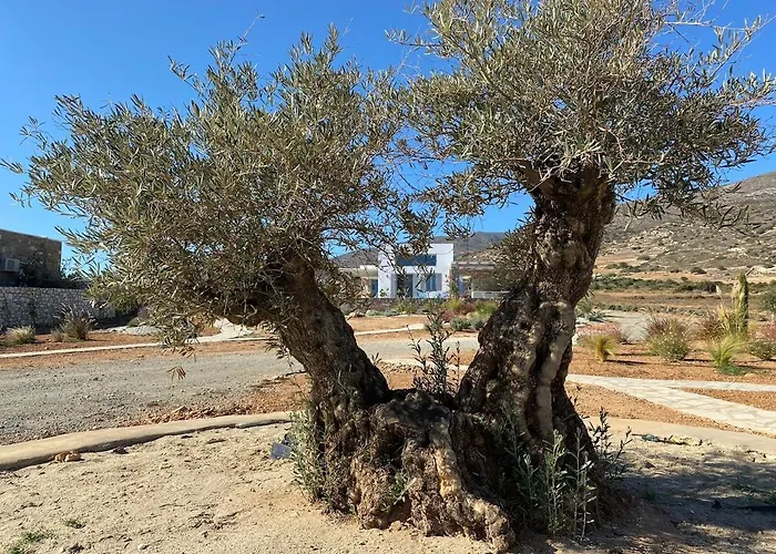 Clepsydra בית נופש *